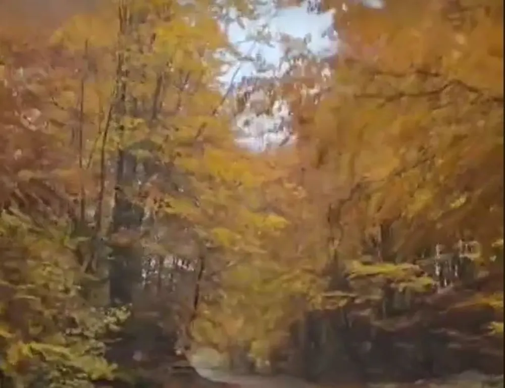 (VIDEO) Tamo gdje planina čuva svjetlost &ndash; Kučka Korita