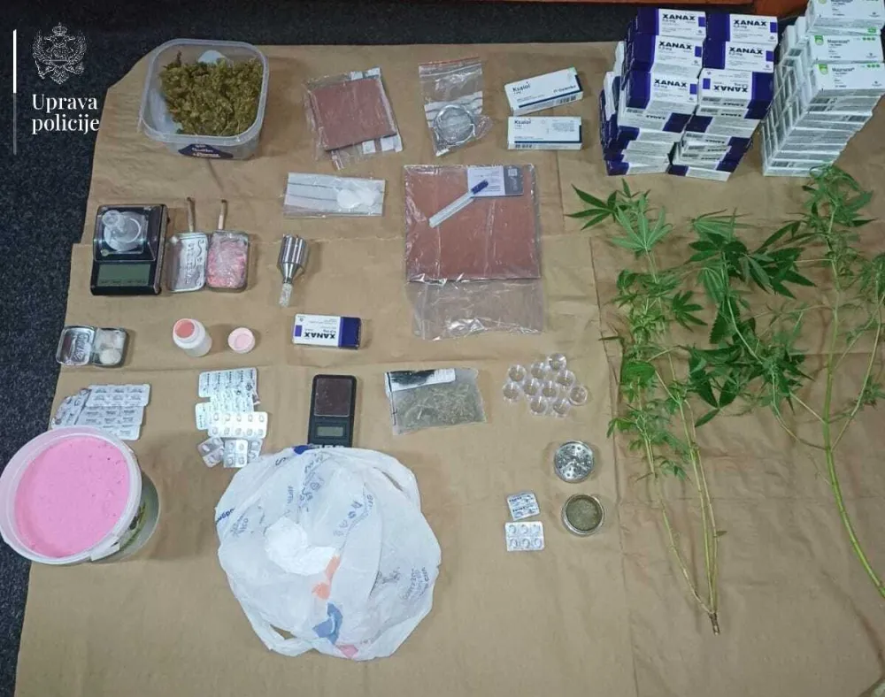 Budva: Uhap&scaron;eni ruski državljani, zaplijenjena droga, vi&scaron;e od 2.700 komada tableta i stabljike marihuane