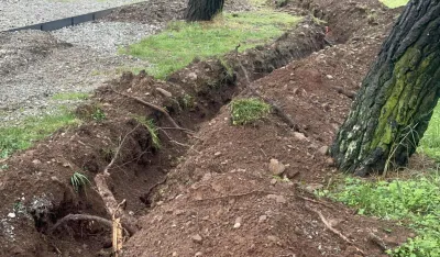 Tolo&scaron;ku &scaron;umu napale metalne gusjenice