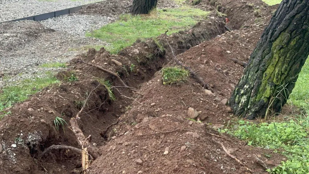 Tolo&scaron;ku &scaron;umu napale metalne gusjenice