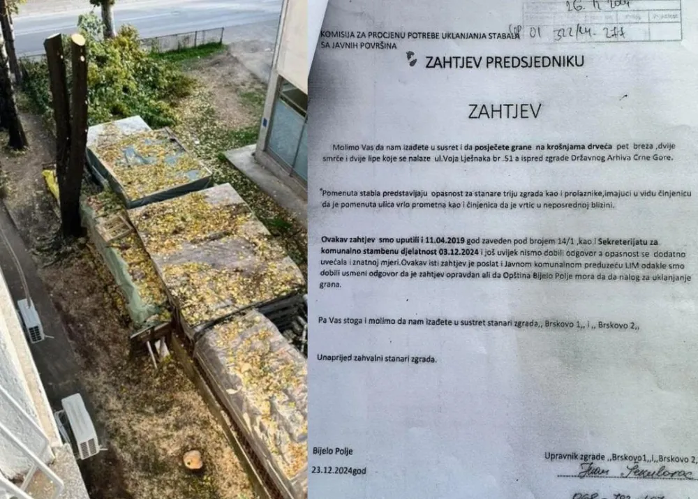 Sječa breza, smrča i lipa izazvala spor