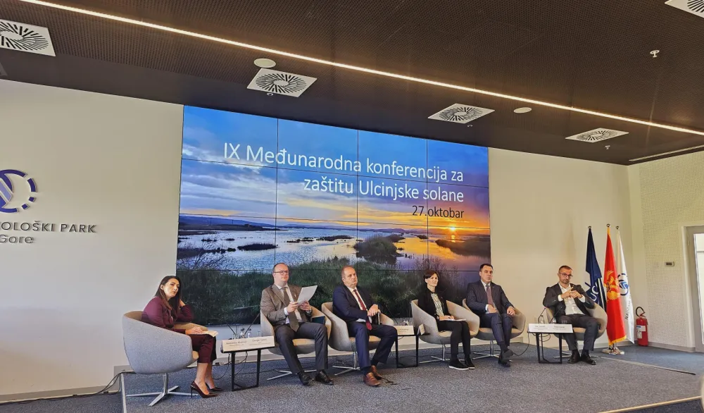 Ćulafić: Gotovo postignut dogovor&nbsp;u vezi sa formiranjem novog upravljača Ulcinjske solane