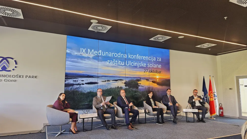 Ćulafić: Gotovo postignut dogovor&nbsp;u vezi sa formiranjem novog upravljača Ulcinjske solane