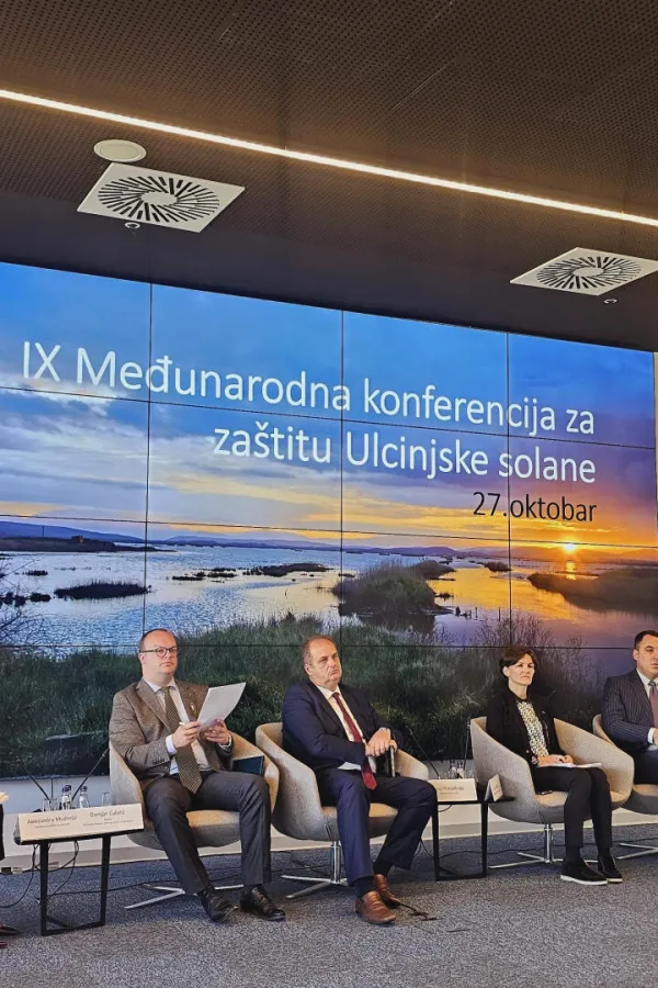 Ćulafić: Gotovo postignut dogovor&nbsp;u vezi sa formiranjem novog upravljača Ulcinjske solane