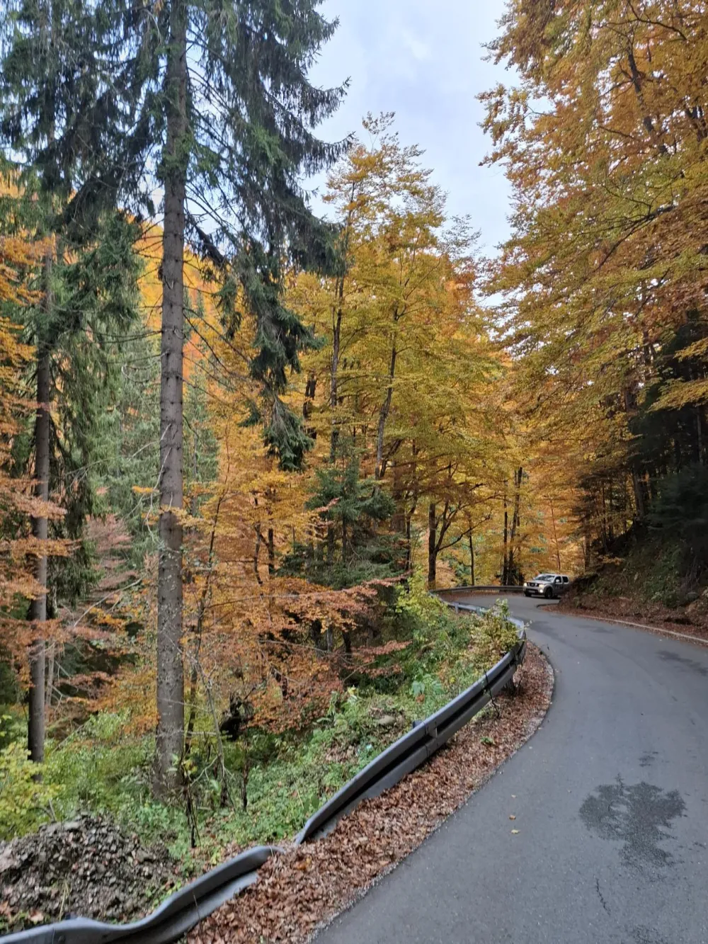 AMSCG: Mokri putevi i učestali odroni