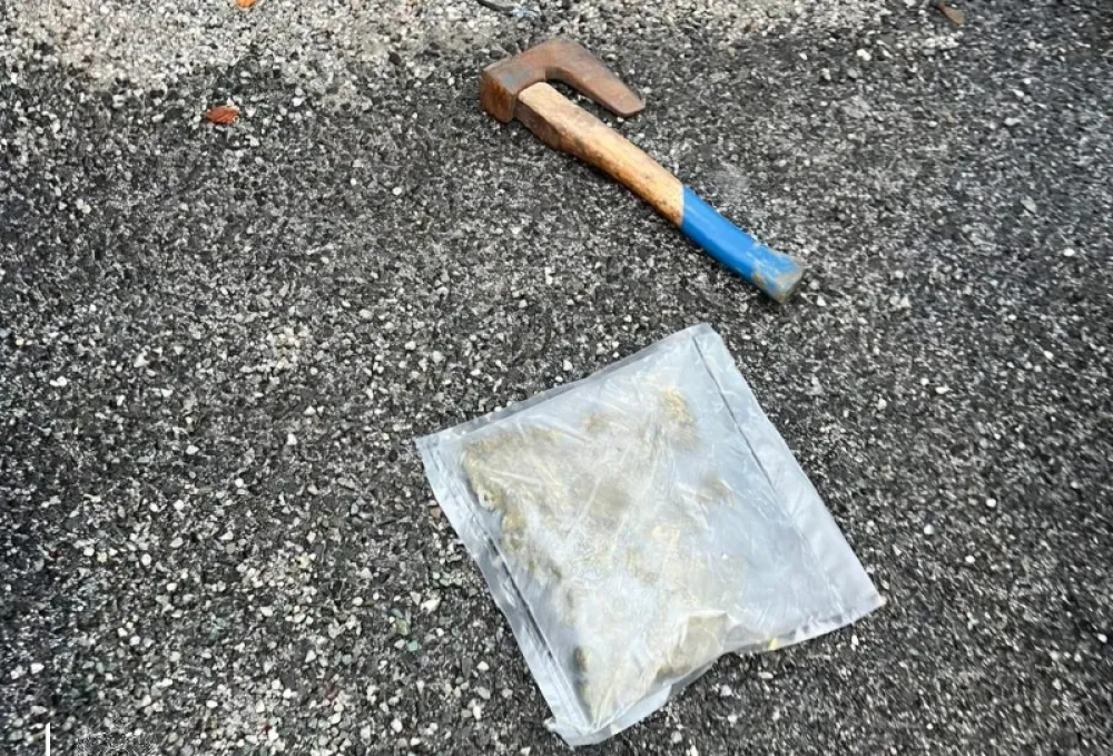 Pojačane aktivnosti UP: Uhap&scaron;ene dvije osobe, pronađeno 30 stabljika i blizu 200 grama marihuane, municija i tablete