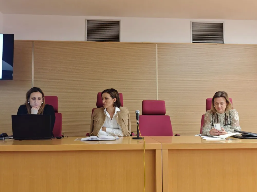 Lokalna studija lokacije Central business district predvidjela nove sadržaje: Administracija može da se seli na Zeleniku