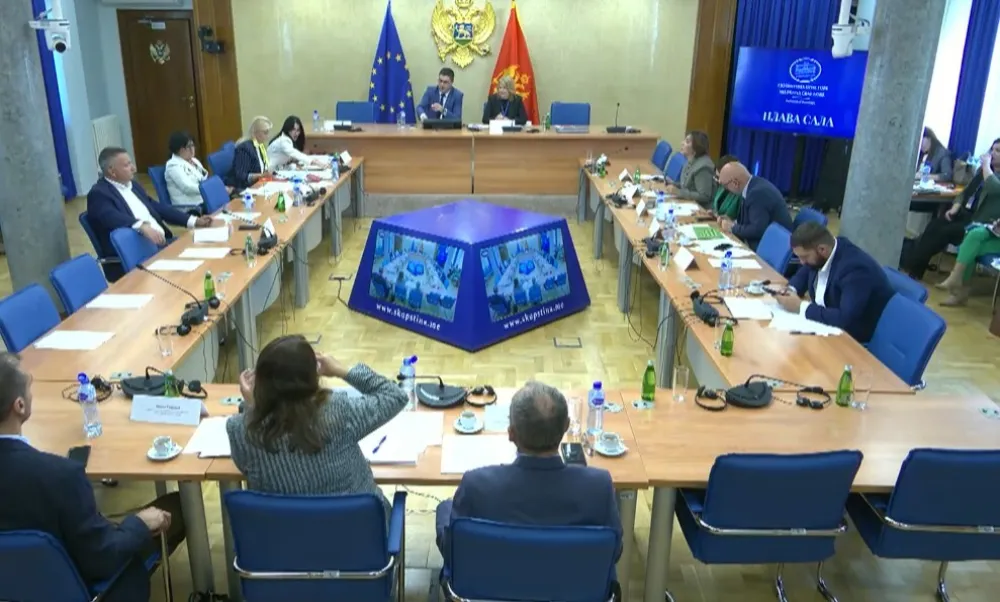 Vujović o Trinaestojulskoj nagradi: Nad žirijem nemamo kontrolnu funkciju