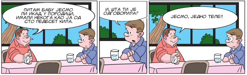 Mirko Zulić strip Dana