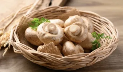 Pečurke mogu da vam pobolj&scaron;aju cjelokupno zdravlje