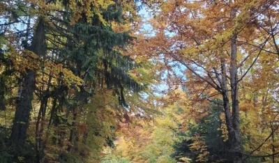 Sunčano i toplo vrijeme, do 25 stepeni