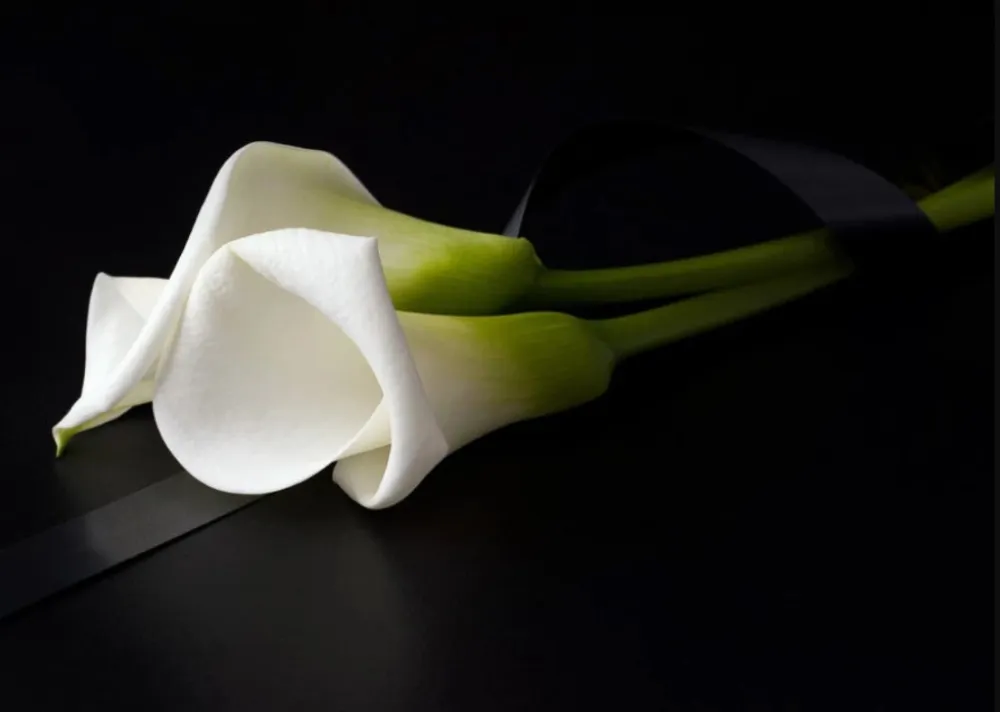 Sjutra Dan žalosti u Srbiji povodom godi&scaron;njice pada nadstre&scaron;nice u Novom Sadu