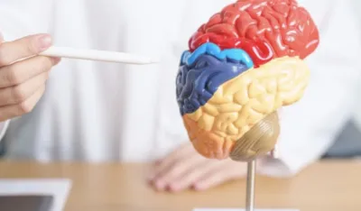 Ovo je najopasnija kombinacija hrane za mozak