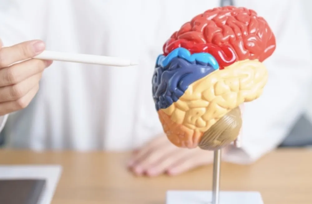 Ovo je najopasnija kombinacija hrane za mozak