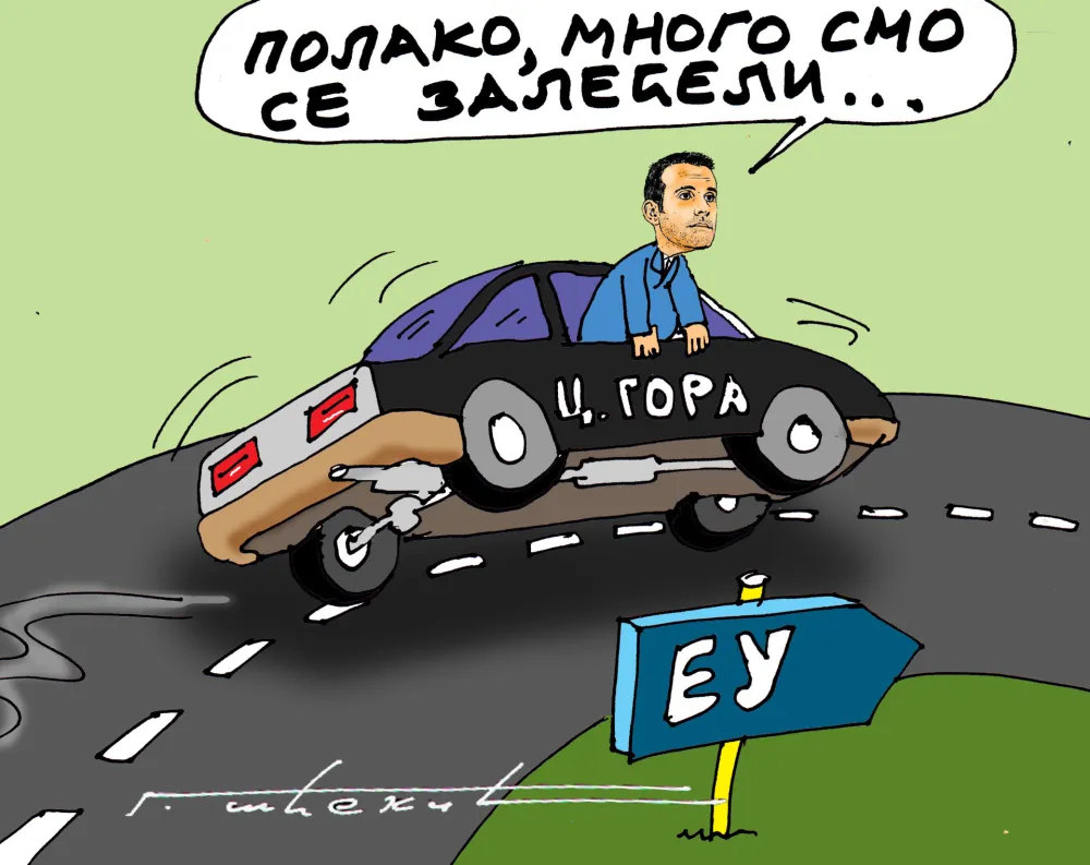 Goran &Scaron;ćekić karikatura Dana