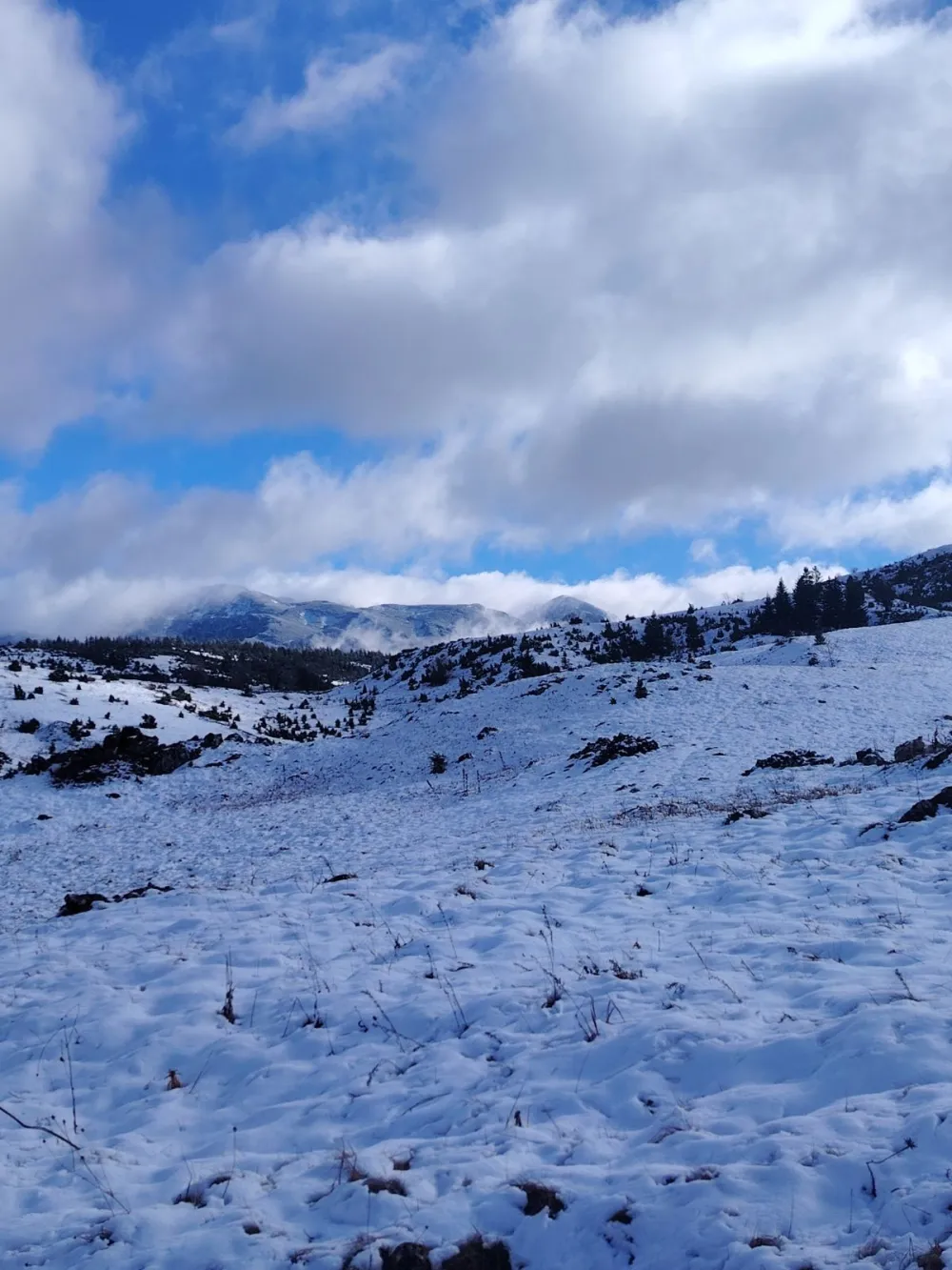 Zabijelilo na Pivskoj planini