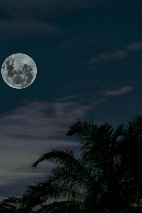 Pun Mjesec u Biku mijenja sudbinu četiri znaka