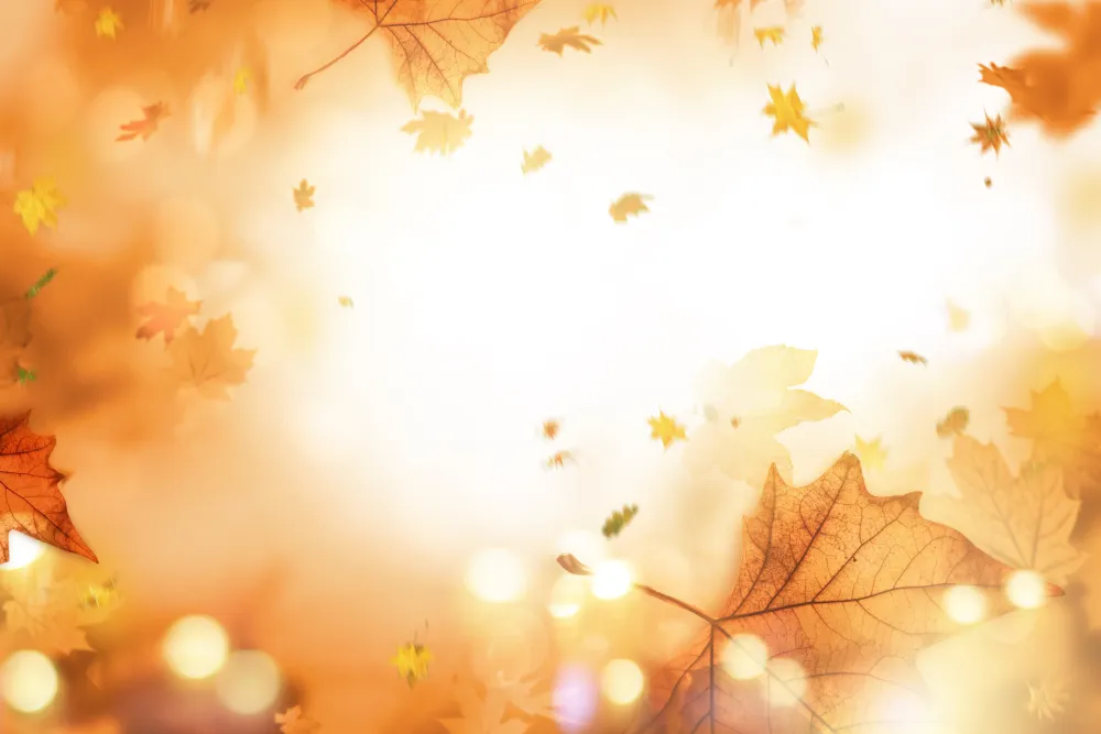 Sjutra pretežno sunčano sa slabim vjetrom