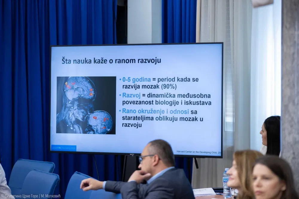 Crnoj Gori fale zakon i stručnjaci za ranu intervenciju: Vi&scaron;e od 5.000 djece kasni u razvoju
