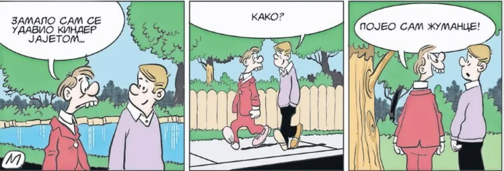 Mirko Zulić Strip Dana