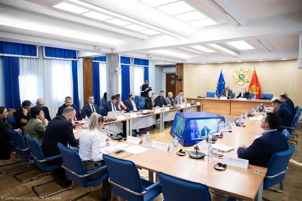 &Scaron;aranović, &Scaron;ćepanović i Janović u utorak pred Odborom za bezbjednost i odbranu