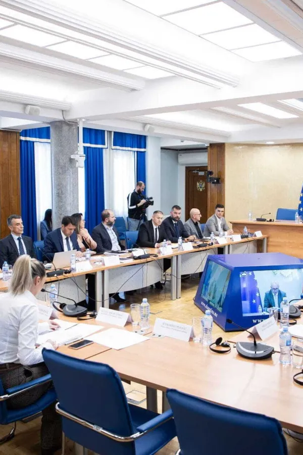 &Scaron;aranović, &Scaron;ćepanović i Janović u utorak pred Odborom za bezbjednost i odbranu