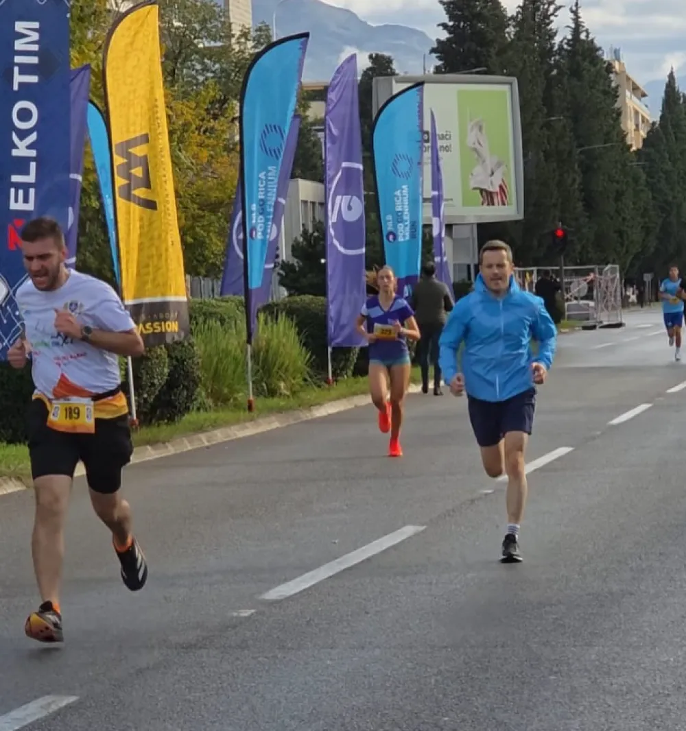 Sa&scaron;a Mujović