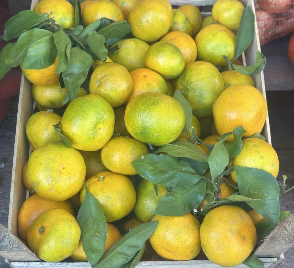 Kilogram mandarina od 0,80 do 1,50 eura