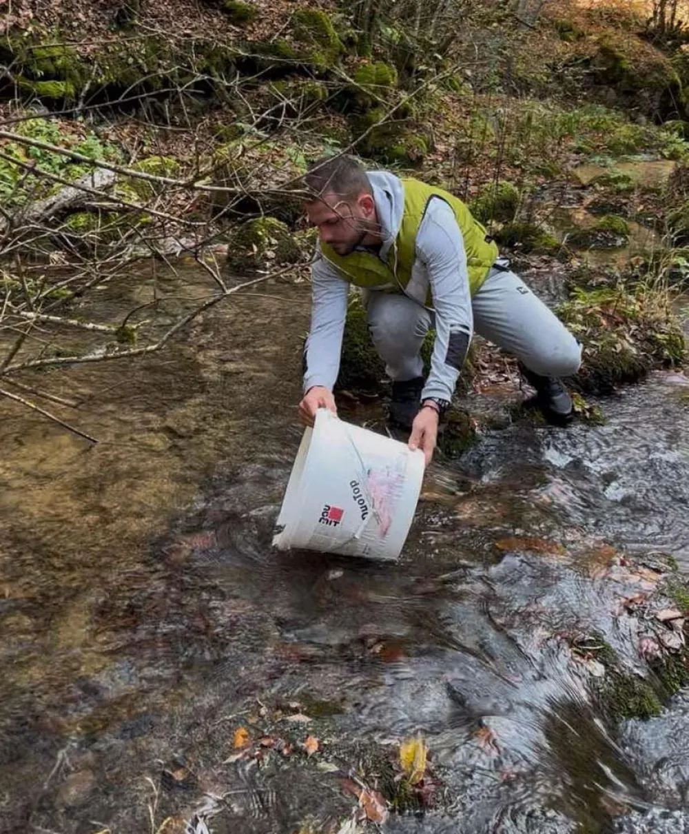 Potočna pastrmka opet u bjelopoljskim rijekama