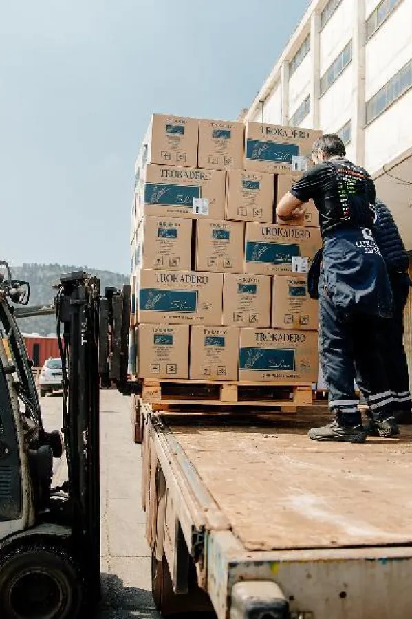 Vlasnik apoteka Petanović za slobodu nudio nekretnine vrijedne 480.280 eura