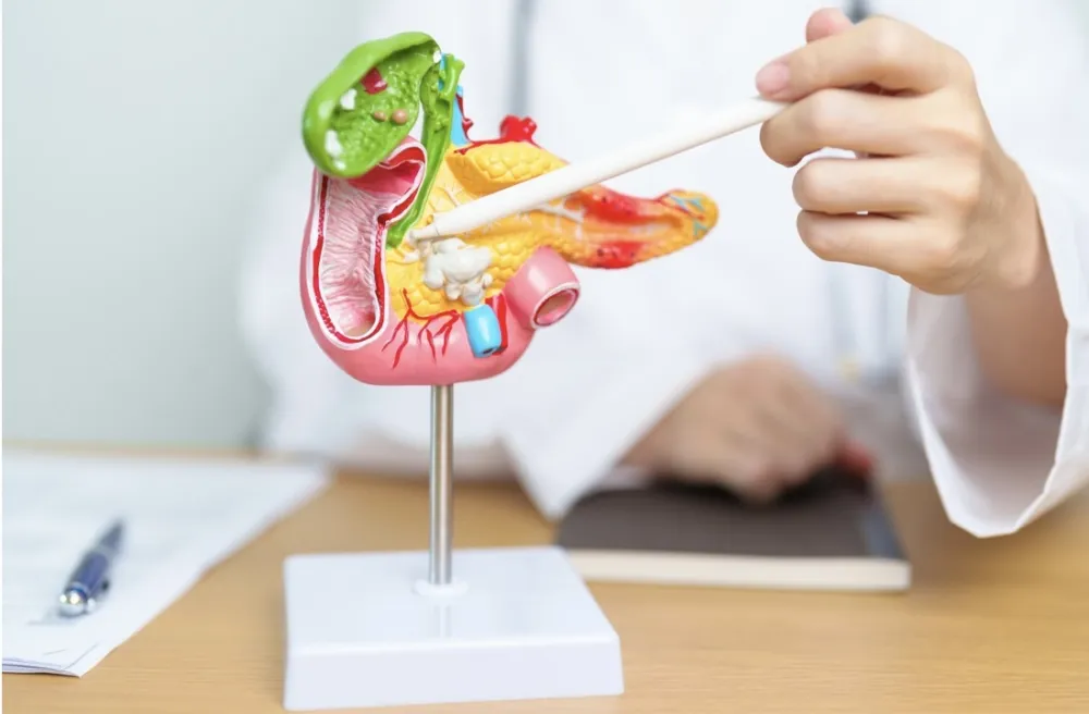 Ovo su glavni okidači za upalu pankreasa