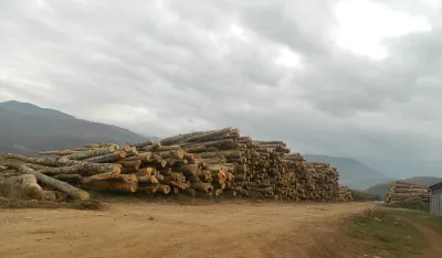 Traže od SDT-a hitnu provjeru javnog poziva za prodaju &scaron;uma