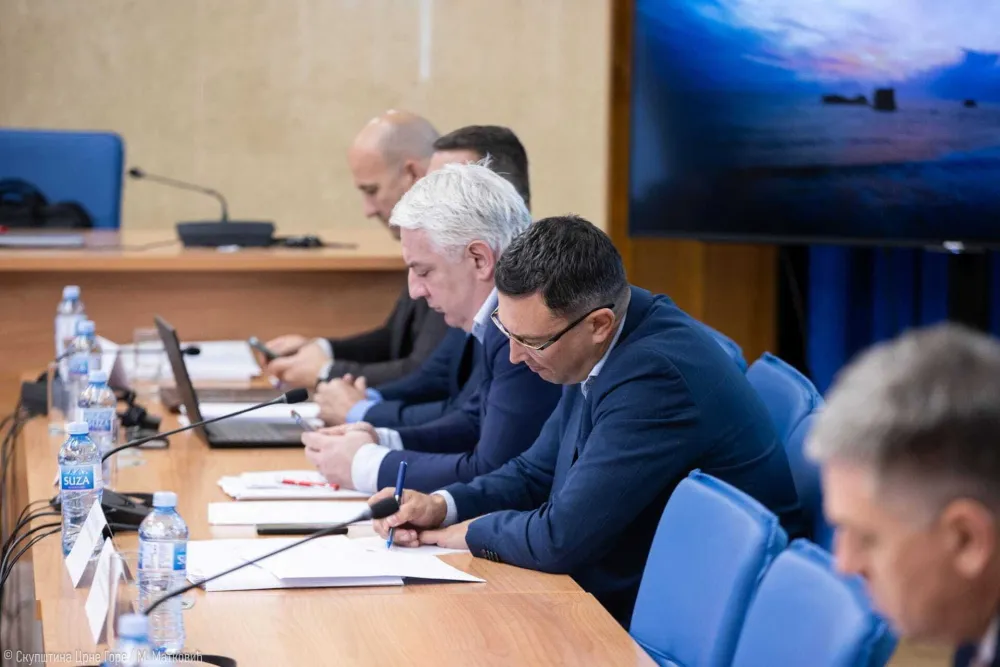 &Scaron;aranović, &Scaron;ćepanović i Janović odgovaraće na pitanja članova Odbora za bezbjednost i odbranu