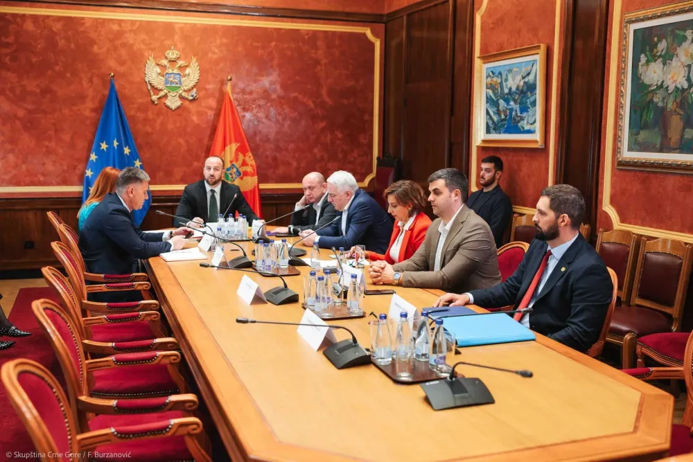 Sekulović se nije pojavio na Anketnom odboru, poručio da bi slučajeve rije&scaron;io dok je bio u službi da je mogao