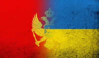 Ambasada Ukrajine: Izuzetno smo zahvalni Skup&scaron;tini Crne Gore na glasanju o uče&scaron;ću u NATO misiji