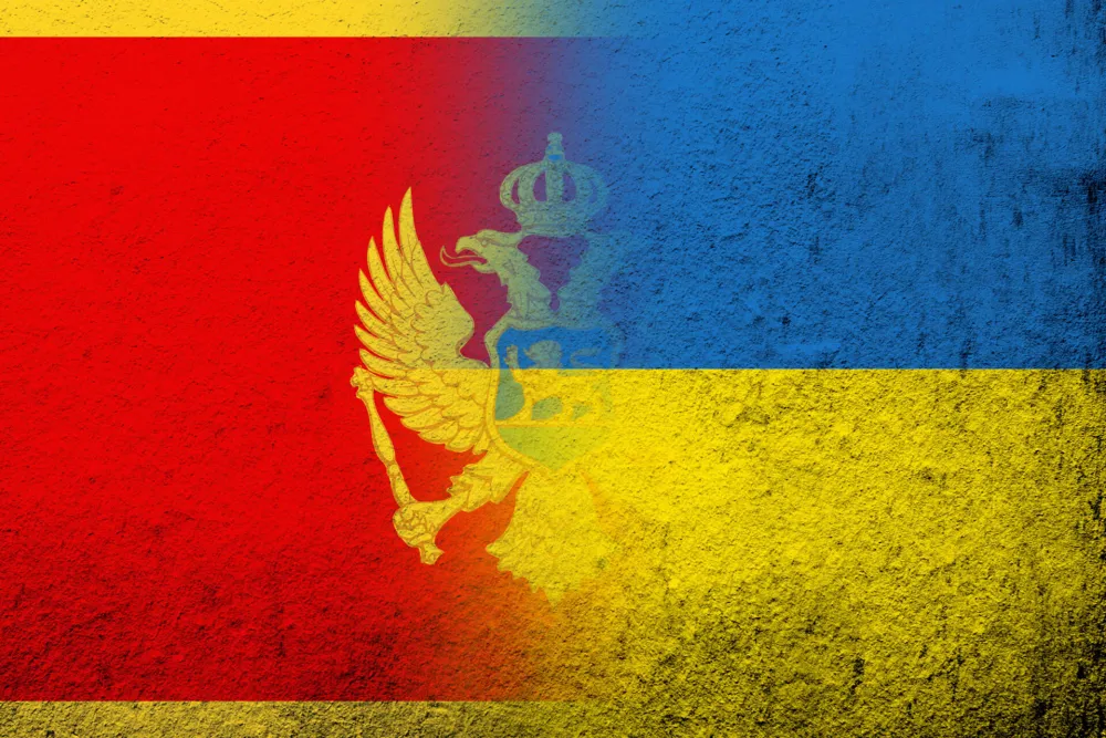 Ambasada Ukrajine: Izuzetno smo zahvalni Skup&scaron;tini Crne Gore na glasanju o uče&scaron;ću u NATO misiji