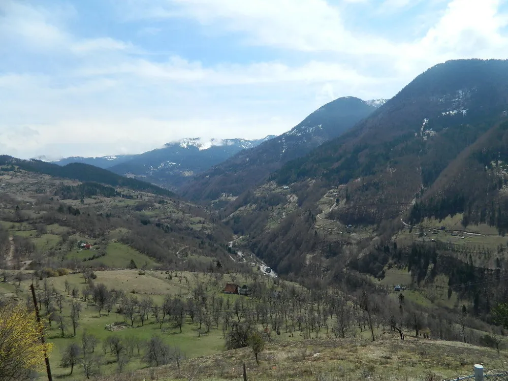 &Scaron;umokradice s Kosova nemilice odnosile drvnu masu iz &Scaron;ekulara