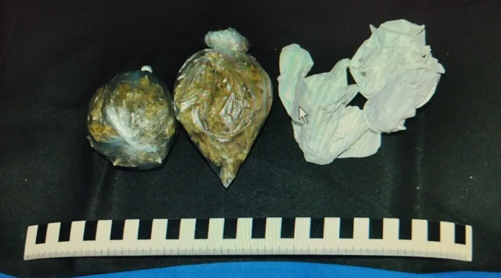 Uhap&scaron;en PLjevljak