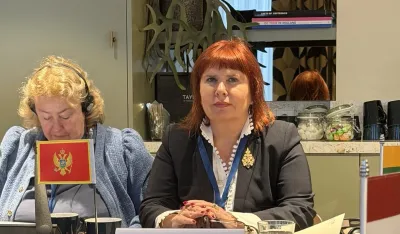 Valentina Pavličić na Kolokvijumu mreža u hagu