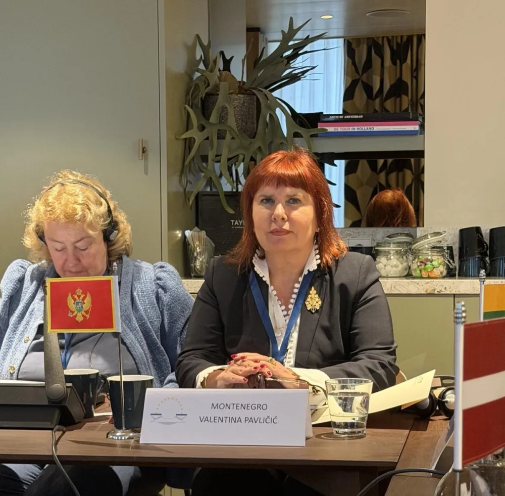 Valentina Pavličić na Kolokvijumu mreža u hagu