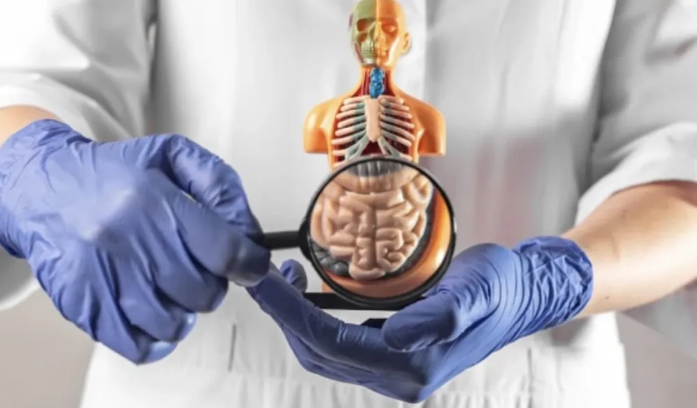 Kako razlikovati činjenice od zablude kod bolesti crijeva