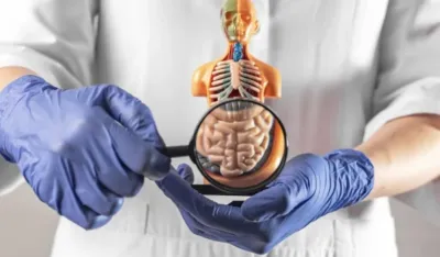 Kako razlikovati činjenice od zablude kod bolesti crijeva