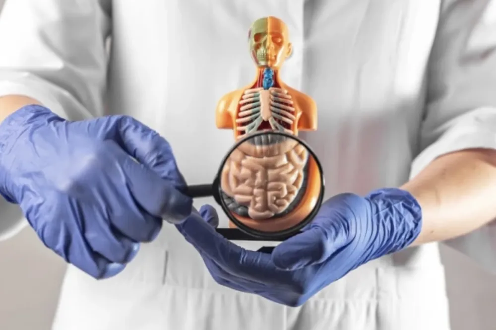 Kako razlikovati činjenice od zablude kod bolesti crijeva