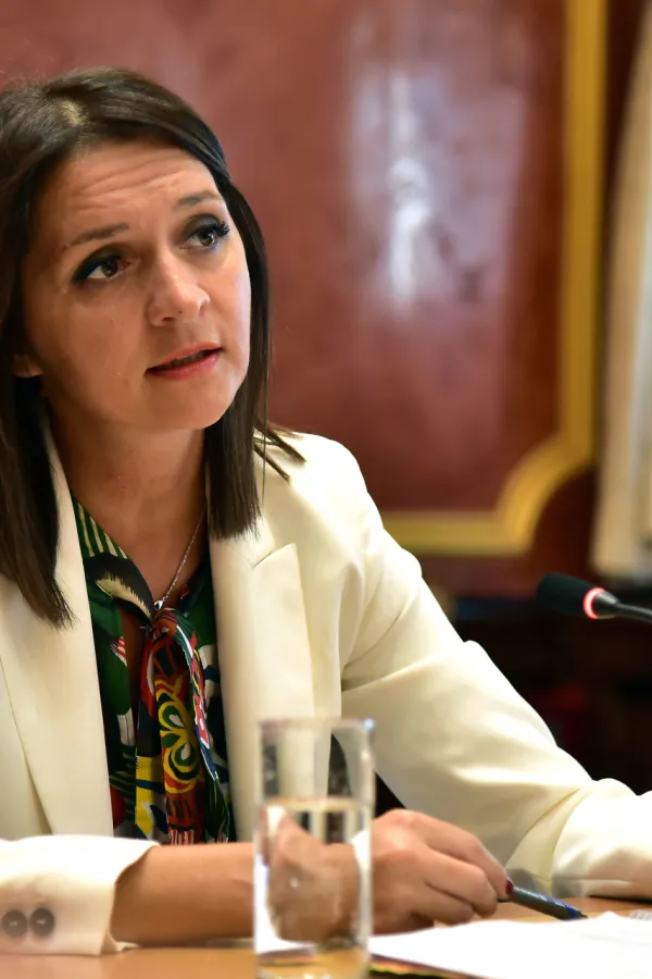 Ustavni odbor saslusanje kandidata za sudije Ustavnog suda, Snezana Armenko