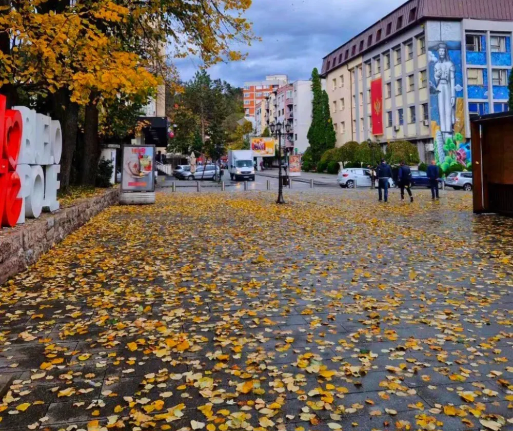 SPP upozorava: Iseljavanje iz Bijelog Polja ozbiljan problem