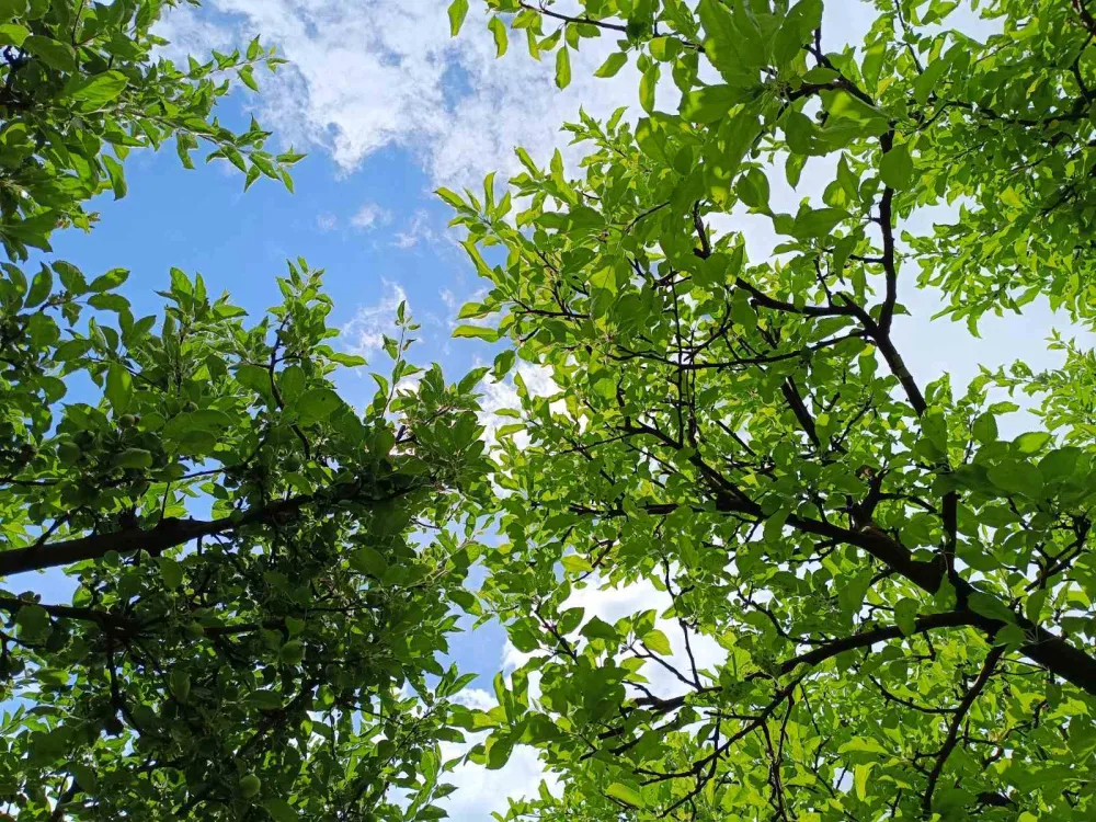 (VIDEO) Sjutra oblačno s uslovima za ki&scaron;u