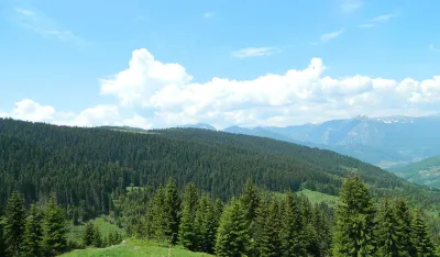 Bogati &scaron;umom,a godi&scaron;nji prihod svega 400.000 eura