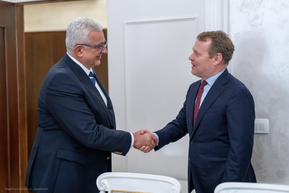 Mandić: Crna Gora želi da bude pouzdan partner OEBS-a u jačanju mira, stabilnosti i evropskog puta