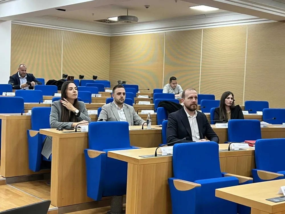 Ustavnom sudu predloženo da odbije inicijativu Preokreta: V.d. u MZ samo prelazno rje&scaron;enje