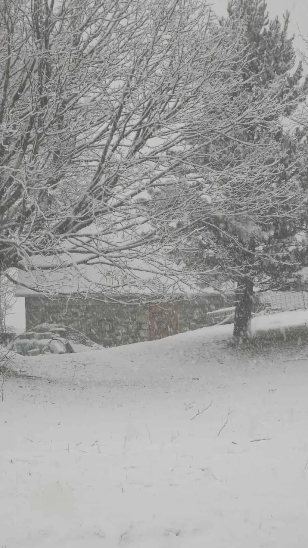 (VIDEO) Sniježna idila nadomak Podgorice